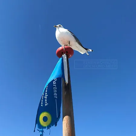 Lägenhet Deich Und